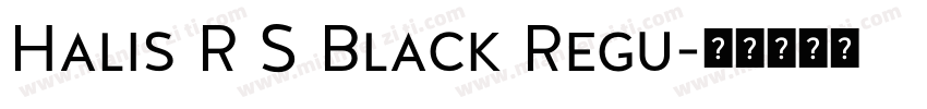 Halis R S Black Regu字体转换